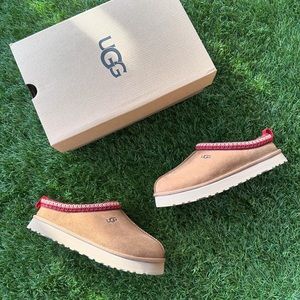 UGG Tazz Slipper
Chestnut
